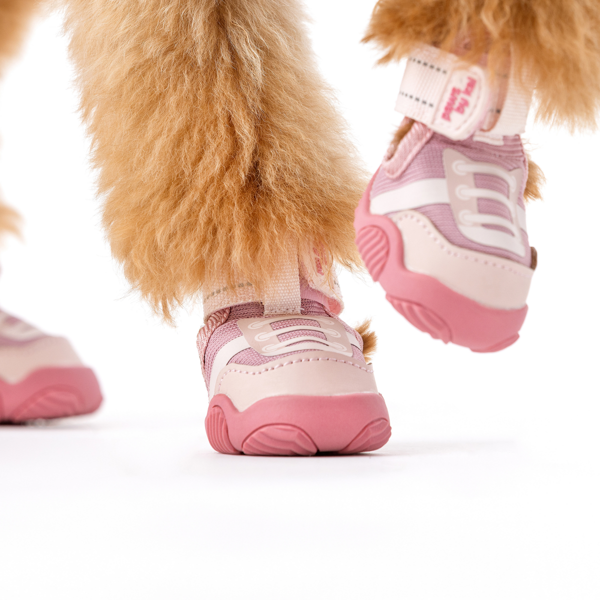 Der Kai-Hundesneaker