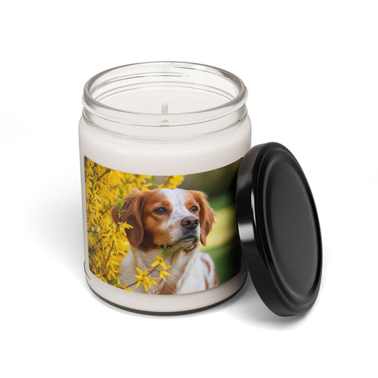 Soy Candle – Scented Jar Candle