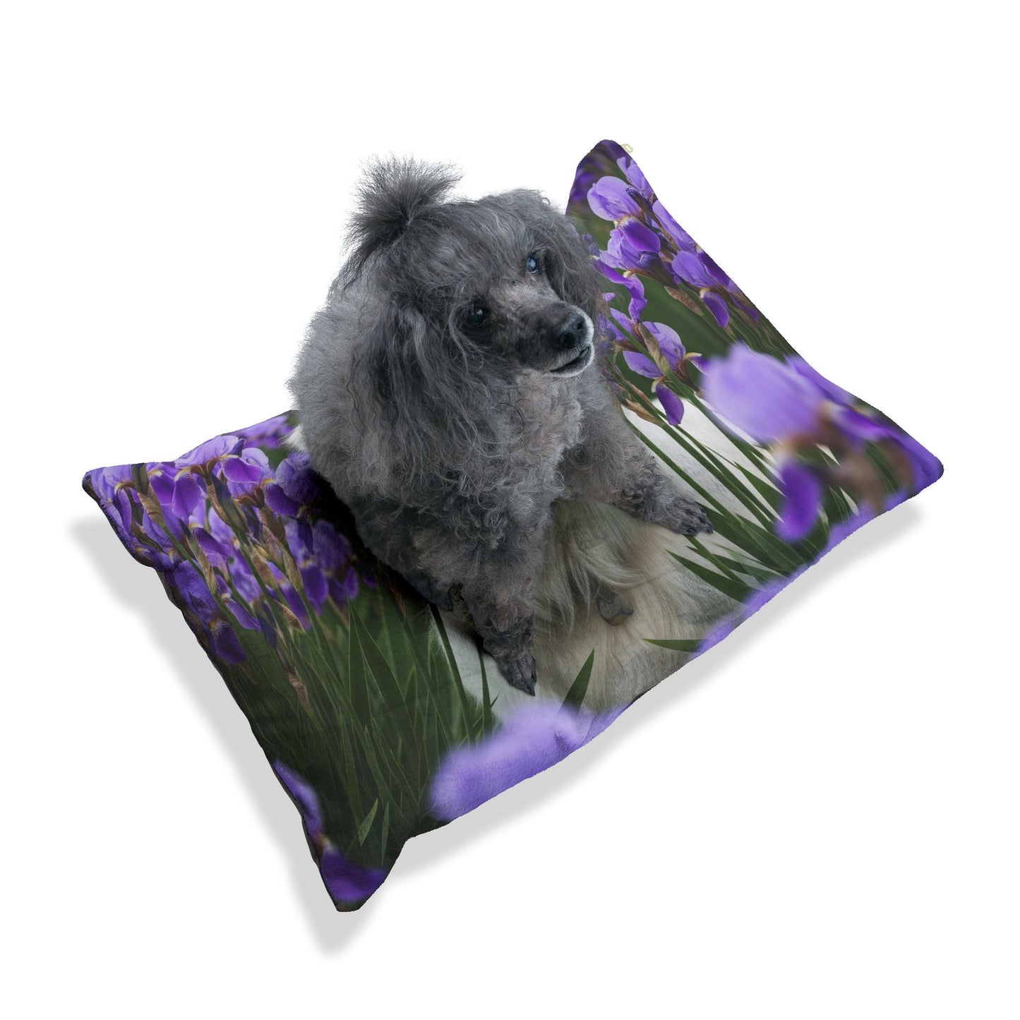 Pet Bed – Plush Dog Bed, 3 Size Options
