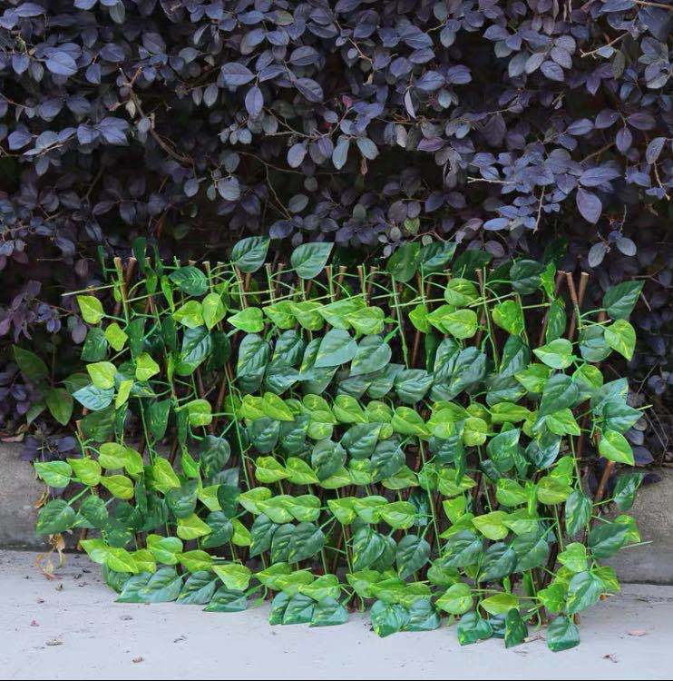 Expandable Wooden Plant Climbing Trellis Fence