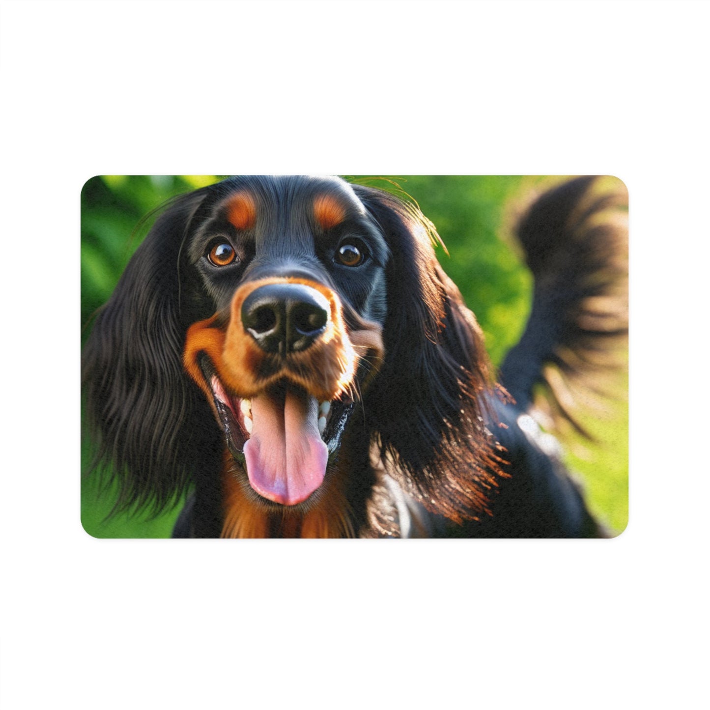 Non-Slip Pet Food Mat – Waterproof Feeding Mat for Dogs