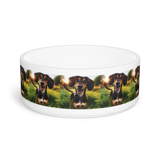 Ceramic Pet Bowl – 16 oz Dog Feeding Bowl