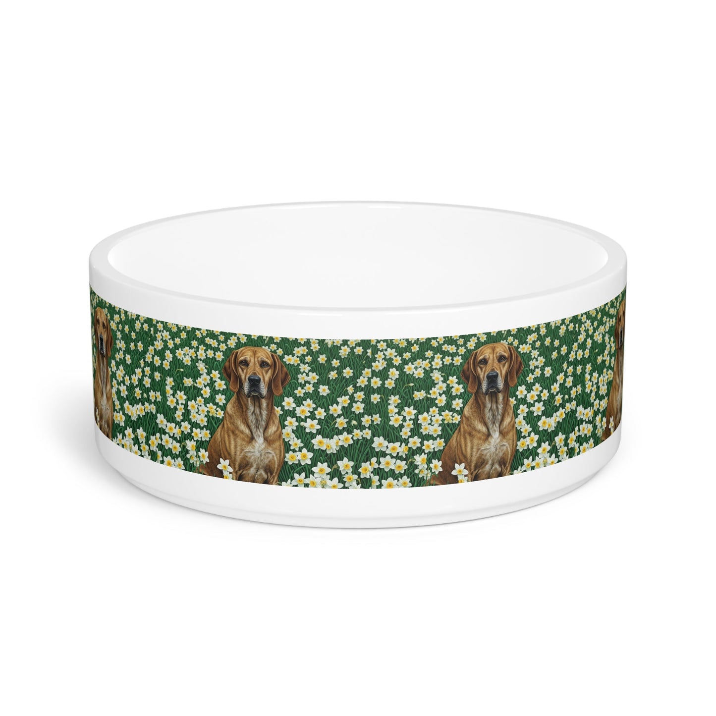 Gamelle en céramique pour animaux de compagnie – Gamelle de 47 cl pour chien