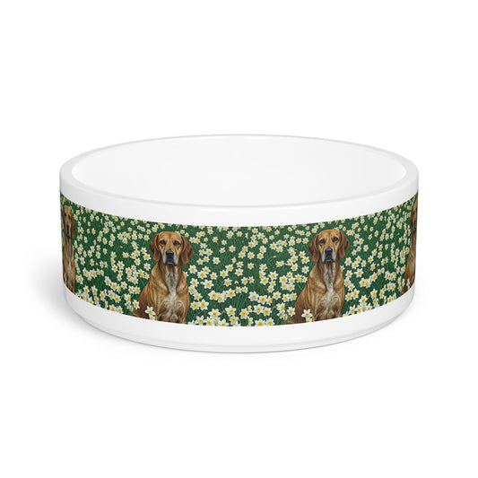 Ceramic Pet Bowl – 16 oz Dog Feeding Bowl