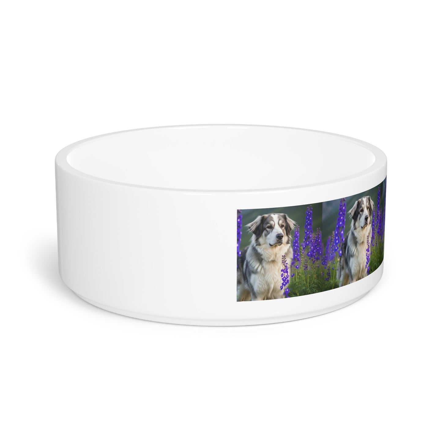 Gamelle en céramique pour animaux de compagnie – Gamelle de 47 cl pour chien