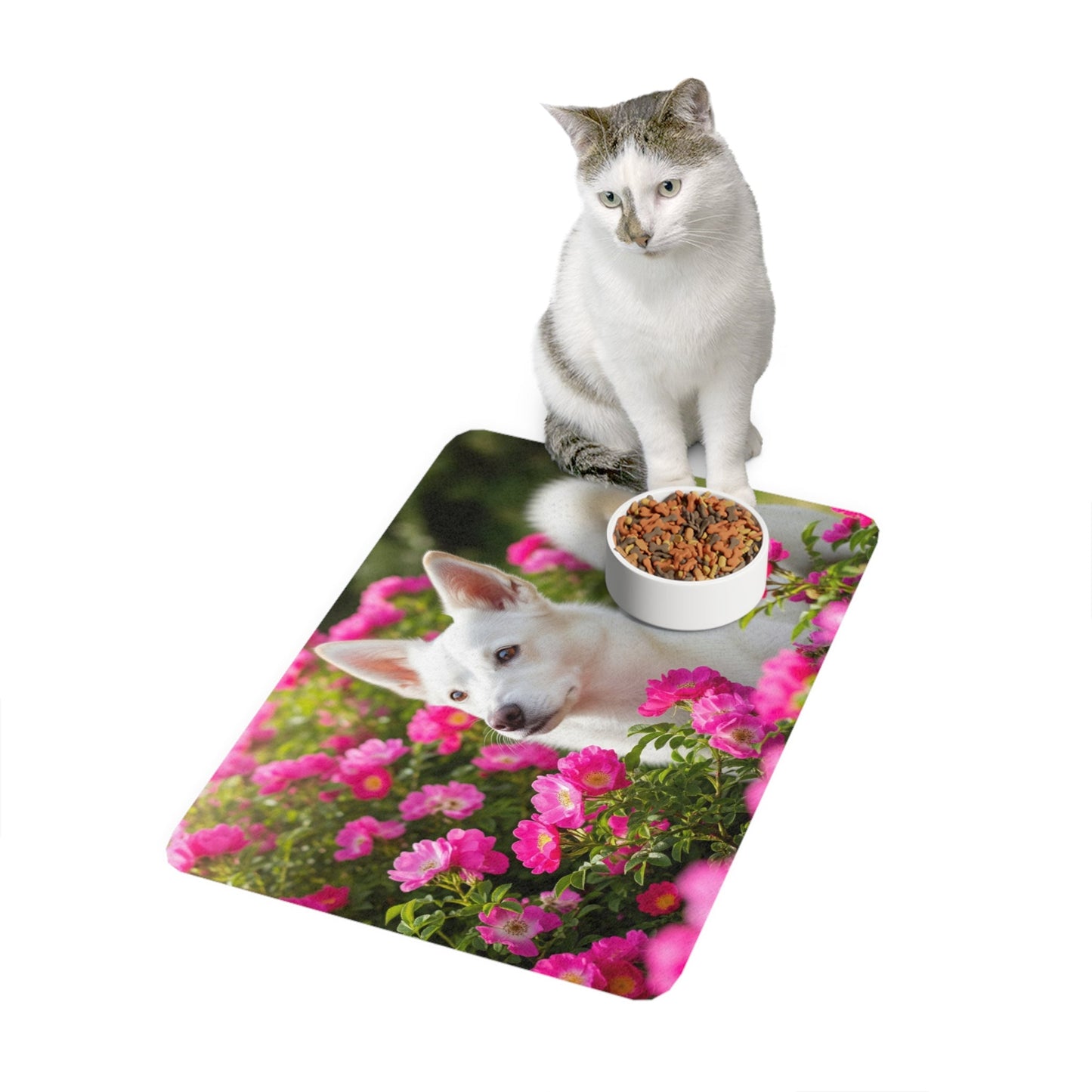 Tapis antidérapant pour animaux de compagnie – Tapis d'alimentation étanche pour chiens