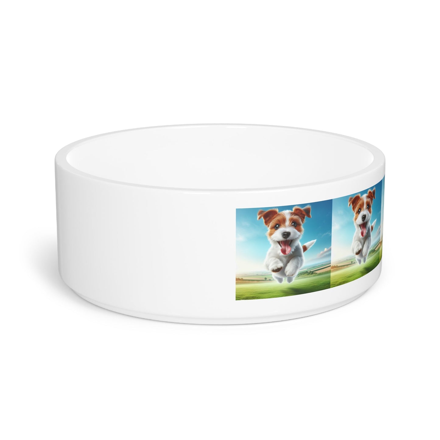 Gamelle en céramique pour animaux de compagnie – Gamelle de 47 cl pour chien