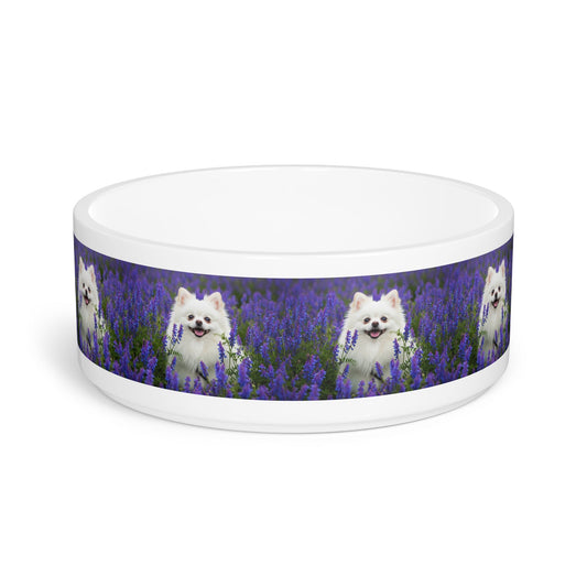 Ceramic Pet Bowl – 16 oz Dog Feeding Bowl