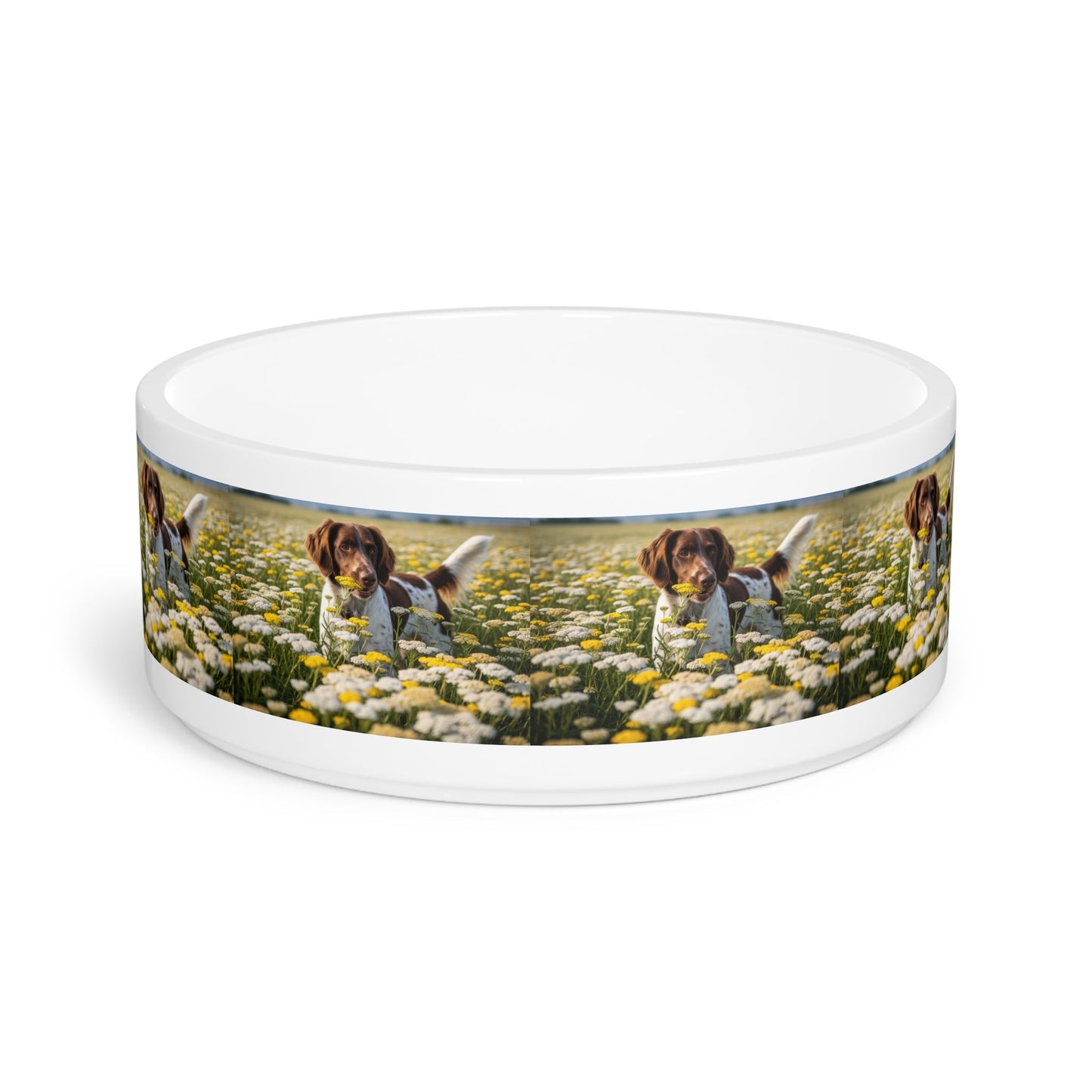 Gamelle en céramique pour animaux de compagnie – Gamelle de 47 cl pour chien