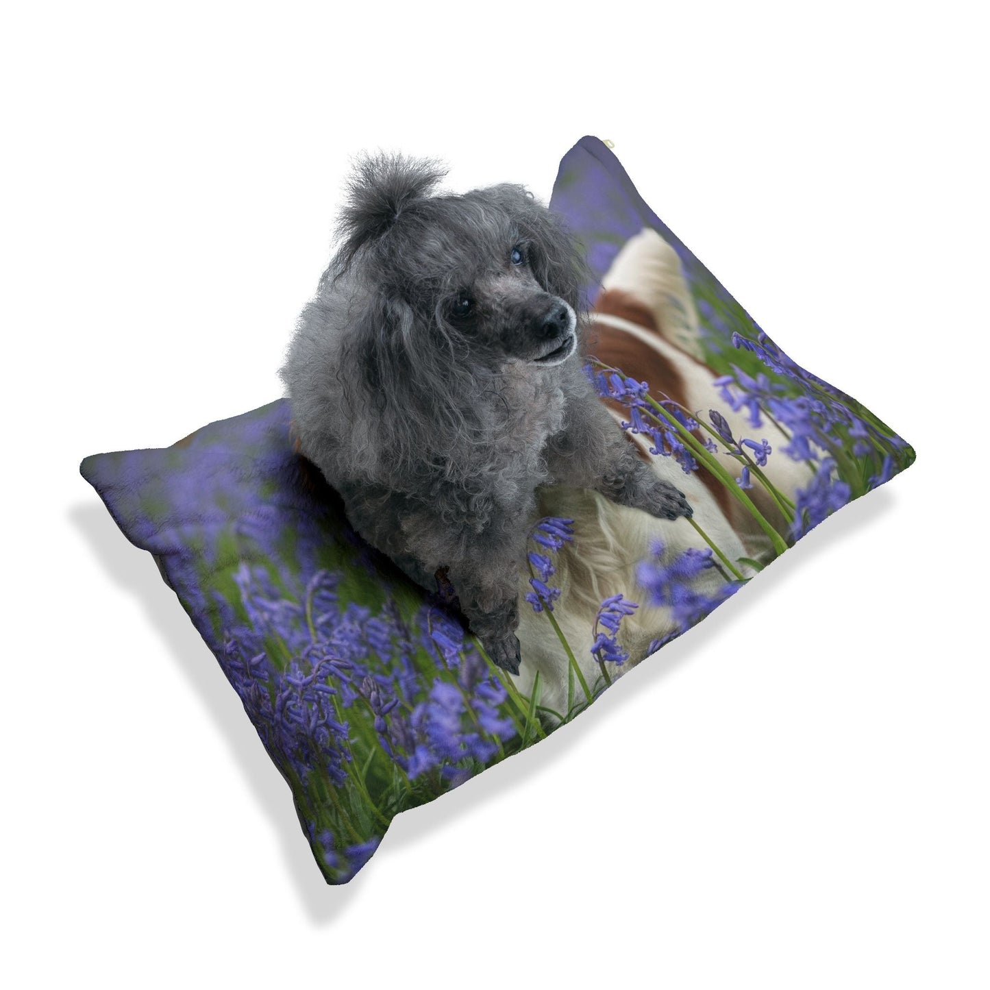 Haustierbett – Plüsch-Hundebett, 3 Größenoptionen