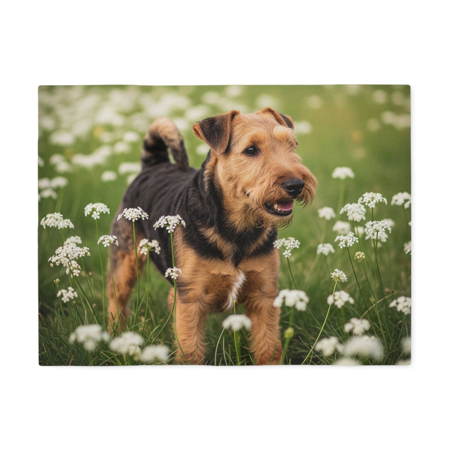 Sweatshirt Blanket – Plush Fleece Throw, 2 Size Options