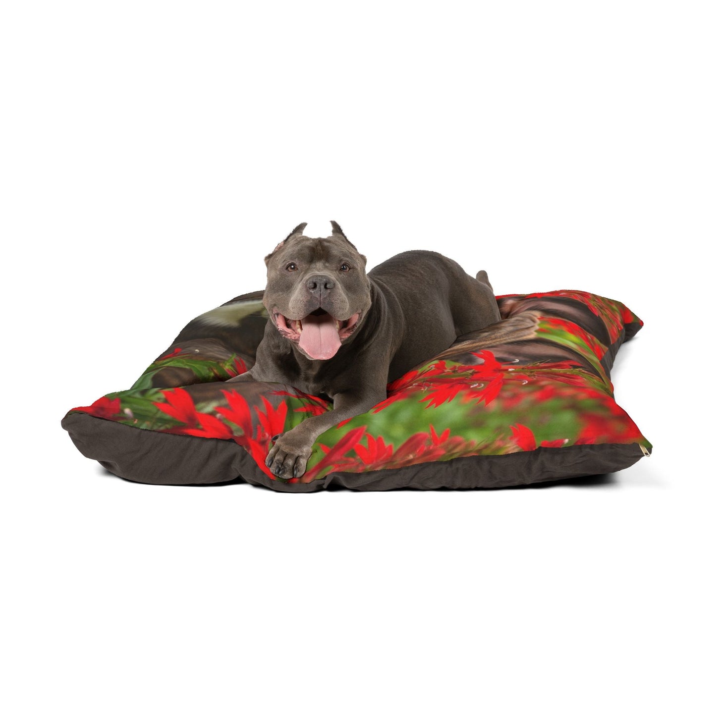 Hundebett – Plüsch-Hundebett, 3 Größenoptionen