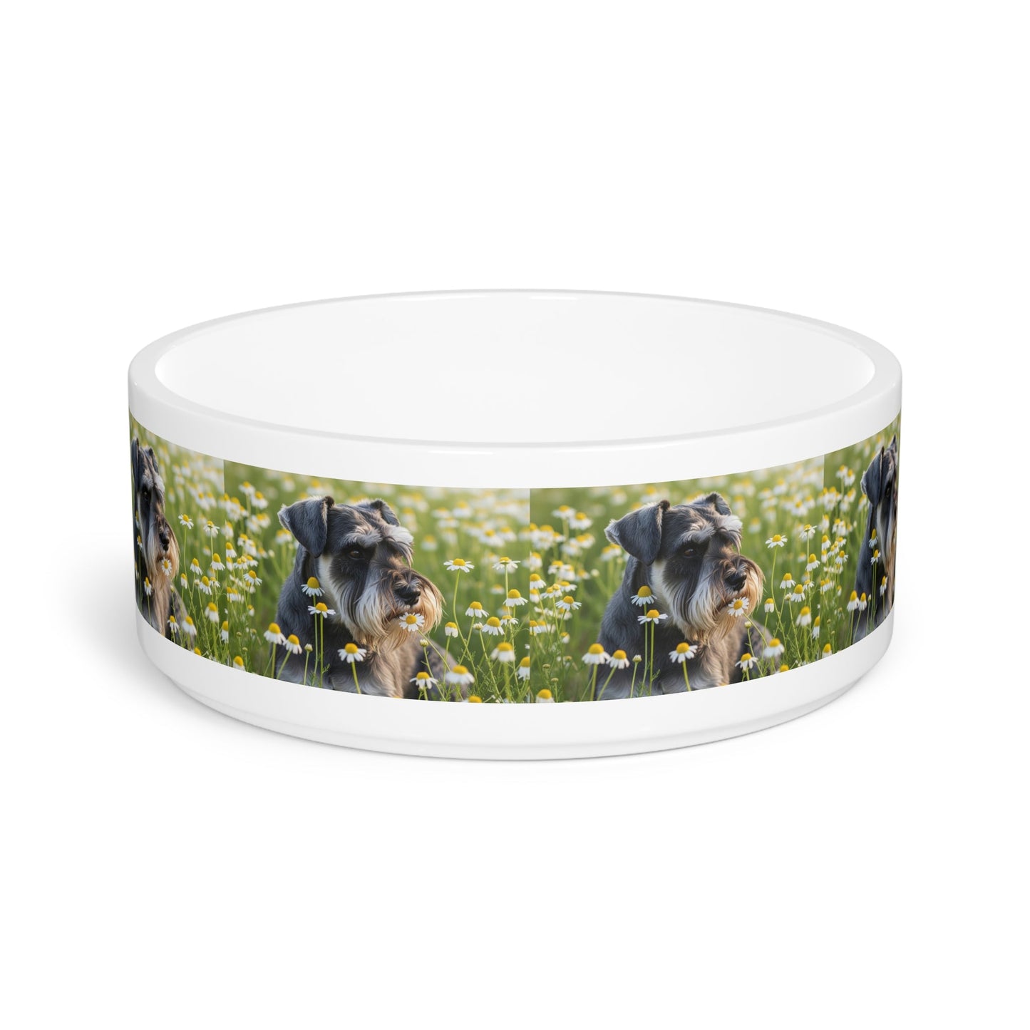 Ceramic Pet Bowl – 16 oz Dog Feeding Bowl