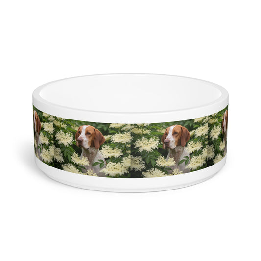 Ceramic Pet Bowl – 16 oz Dog Feeding Bowl