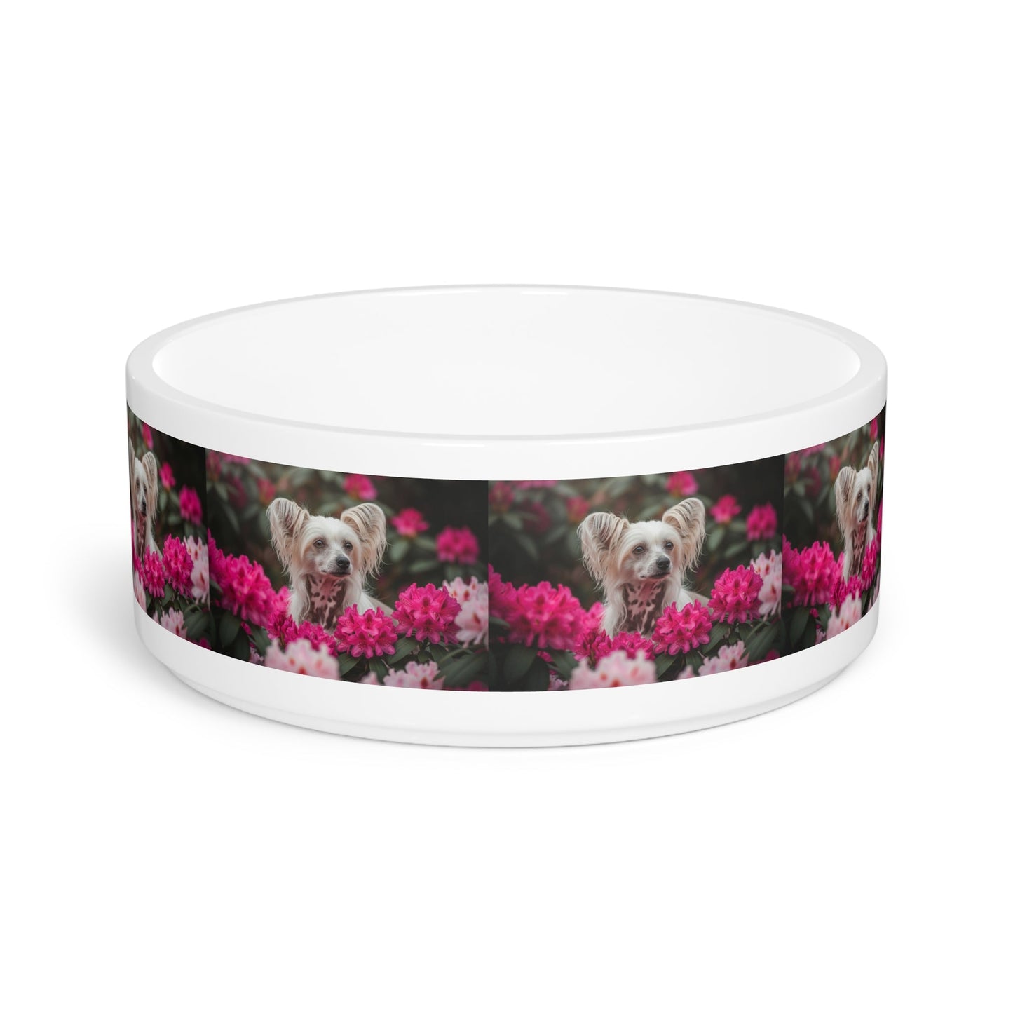 Ceramic Pet Bowl – 16 oz Dog Feeding Bowl