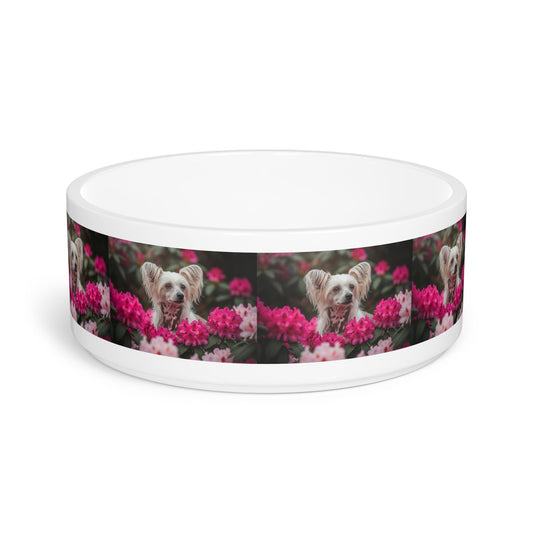 Ceramic Pet Bowl – 16 oz Dog Feeding Bowl