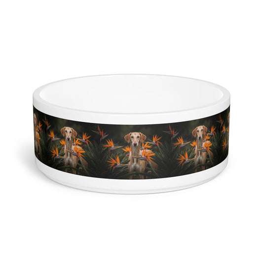 Ceramic Pet Bowl – 16 oz Dog Feeding Bowl