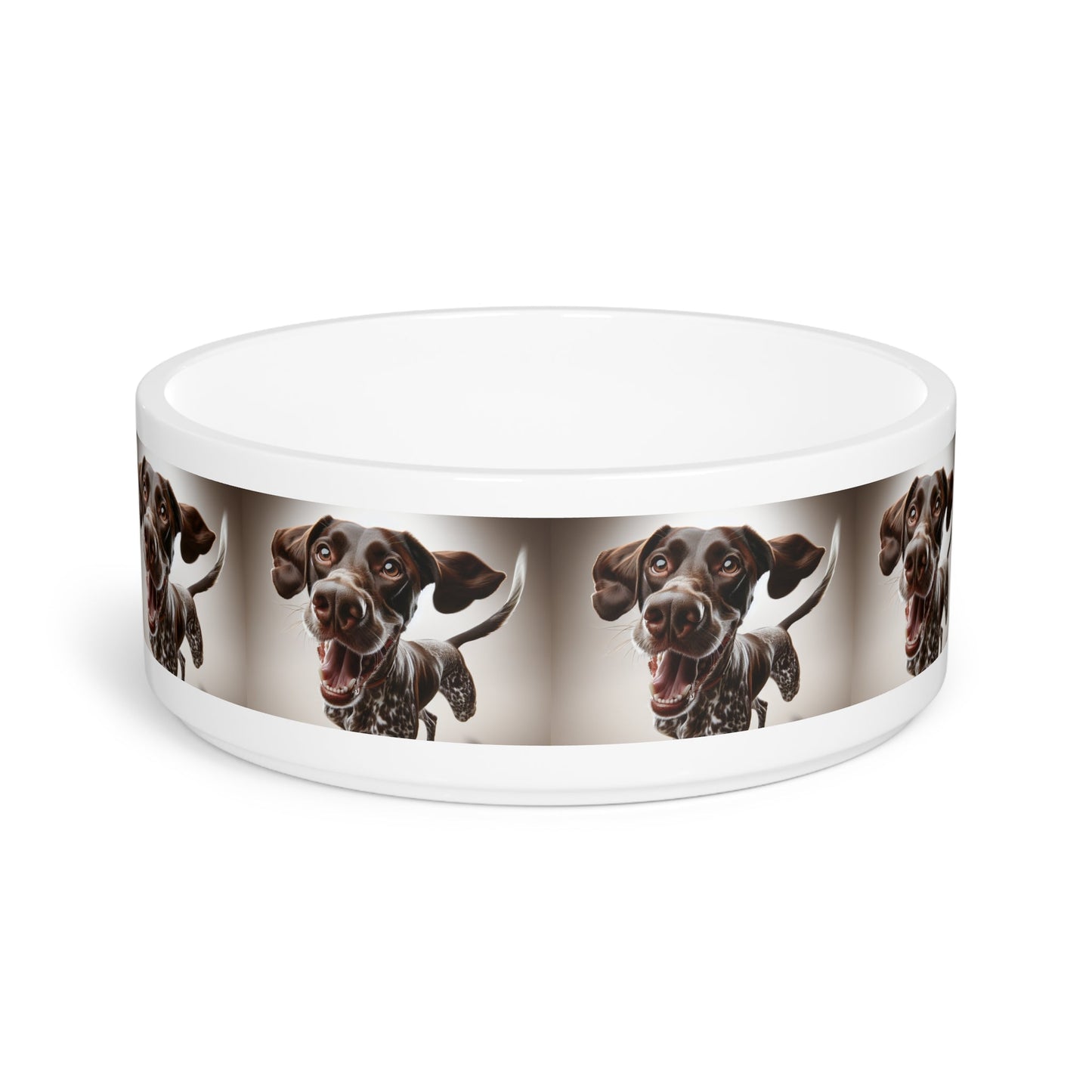Ceramic Pet Bowl – 16 oz Dog Feeding Bowl