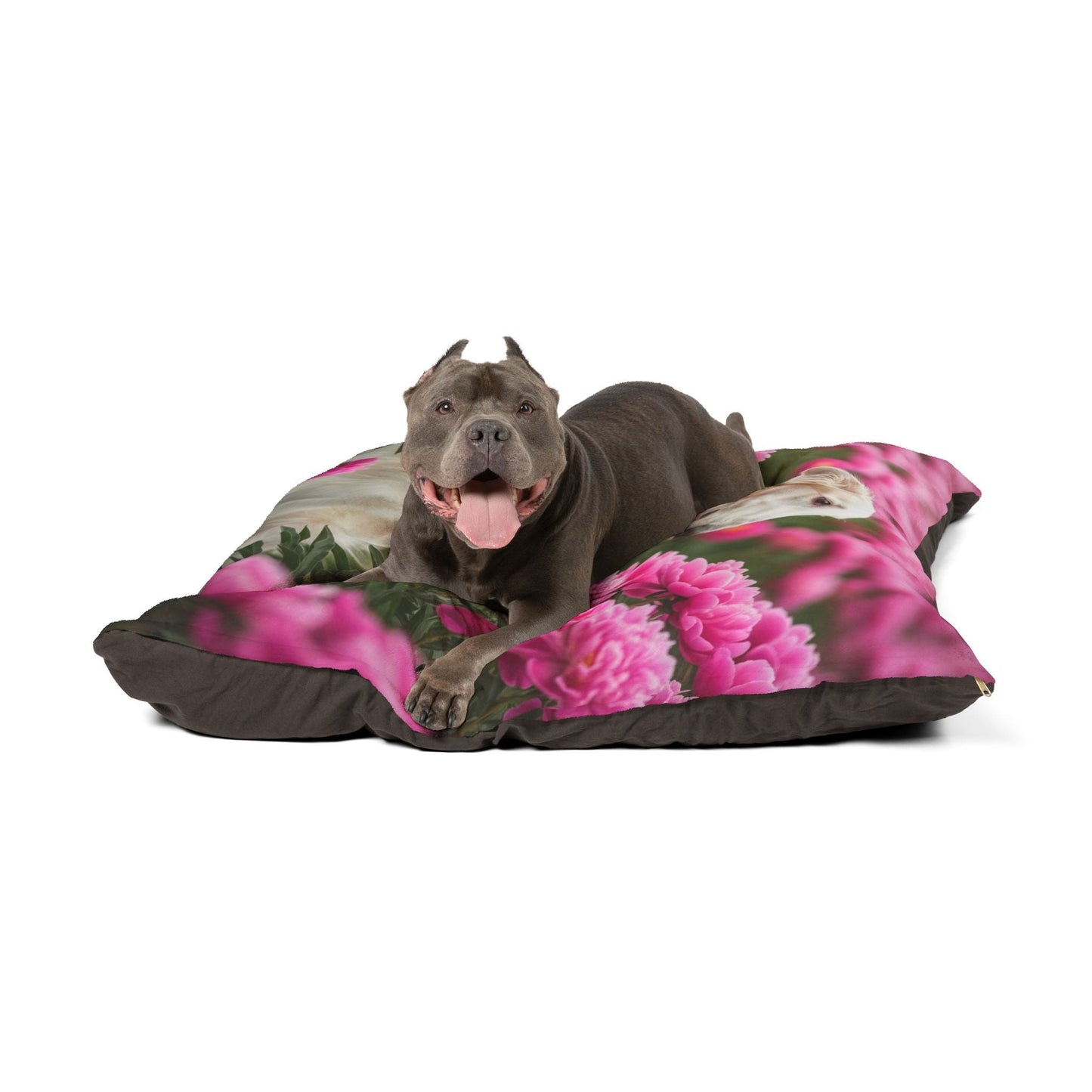 Pet Bed – Plush Dog Bed, 3 Size Options