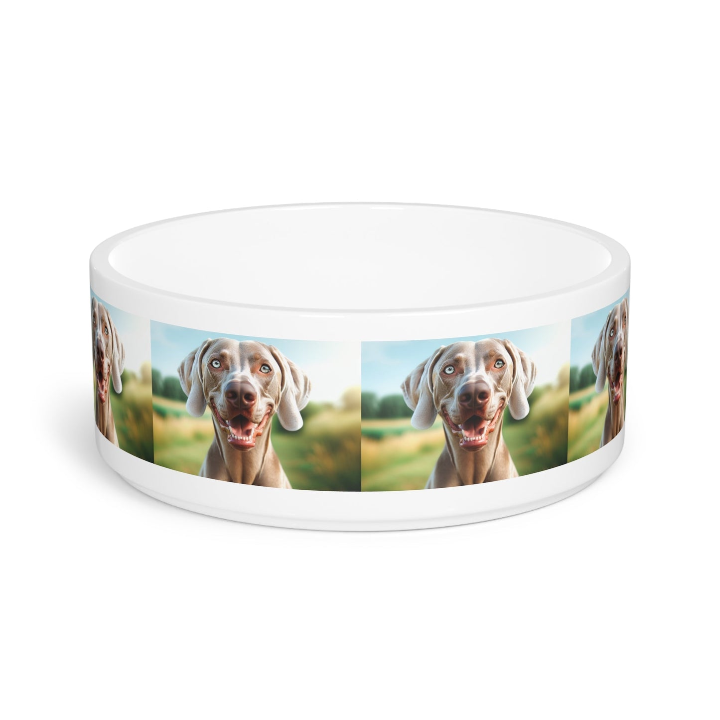 Ceramic Pet Bowl – 16 oz Dog Feeding Bowl