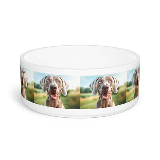 Ceramic Pet Bowl – 16 oz Dog Feeding Bowl