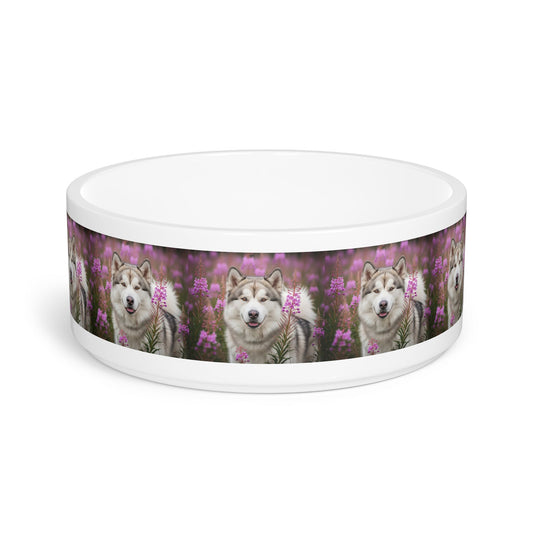 Ceramic Pet Bowl – 16 oz Dog Feeding Bowl