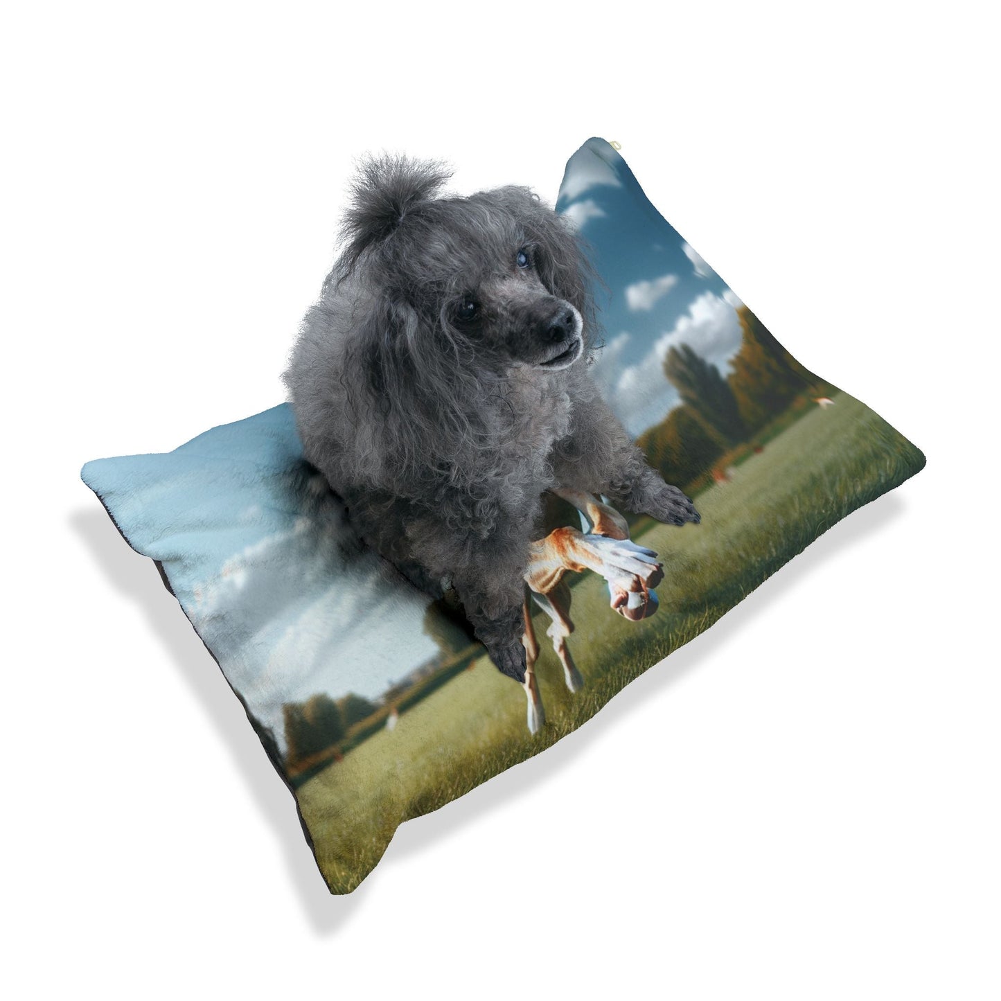 Haustierbett – Plüsch-Hundebett, 3 Größenoptionen