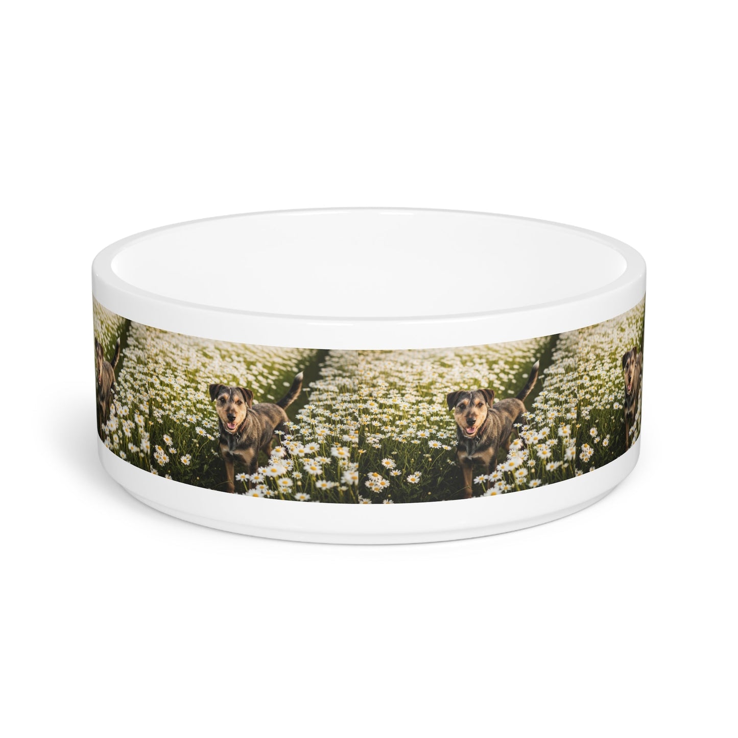 Gamelle en céramique pour animaux de compagnie – Gamelle de 47 cl pour chien