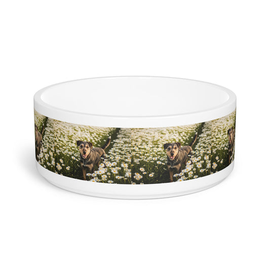 Ceramic Pet Bowl – 16 oz Dog Feeding Bowl