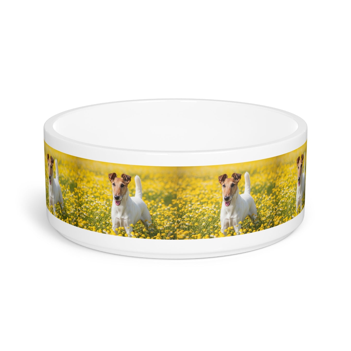 Ceramic Pet Bowl – 16 oz Dog Feeding Bowl
