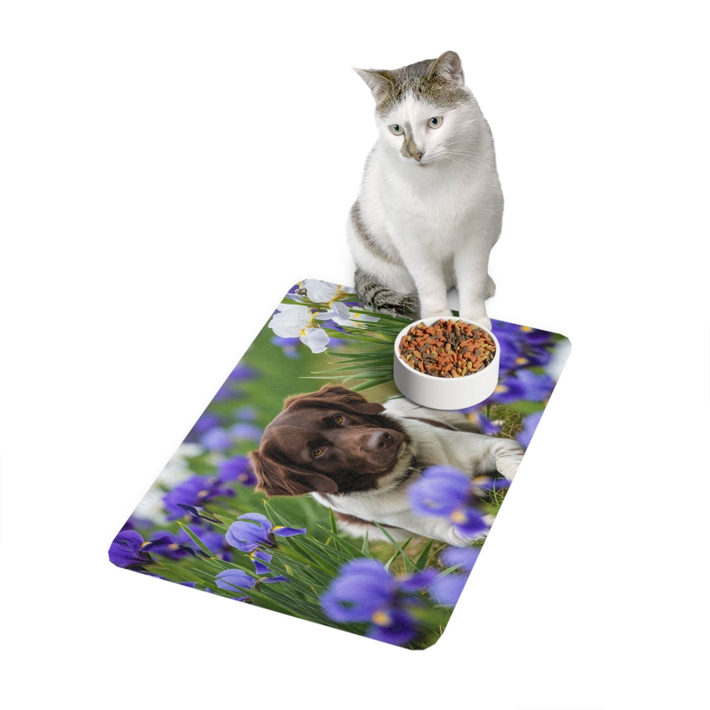 Tapis antidérapant pour animaux de compagnie – Tapis d'alimentation étanche pour chiens