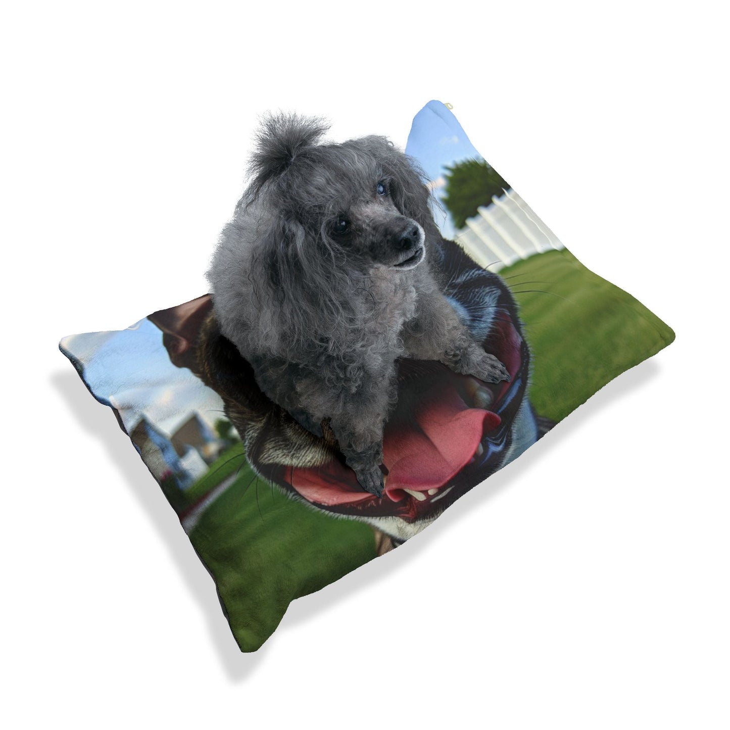 Pet Bed – Plush Dog Bed, 3 Size Options