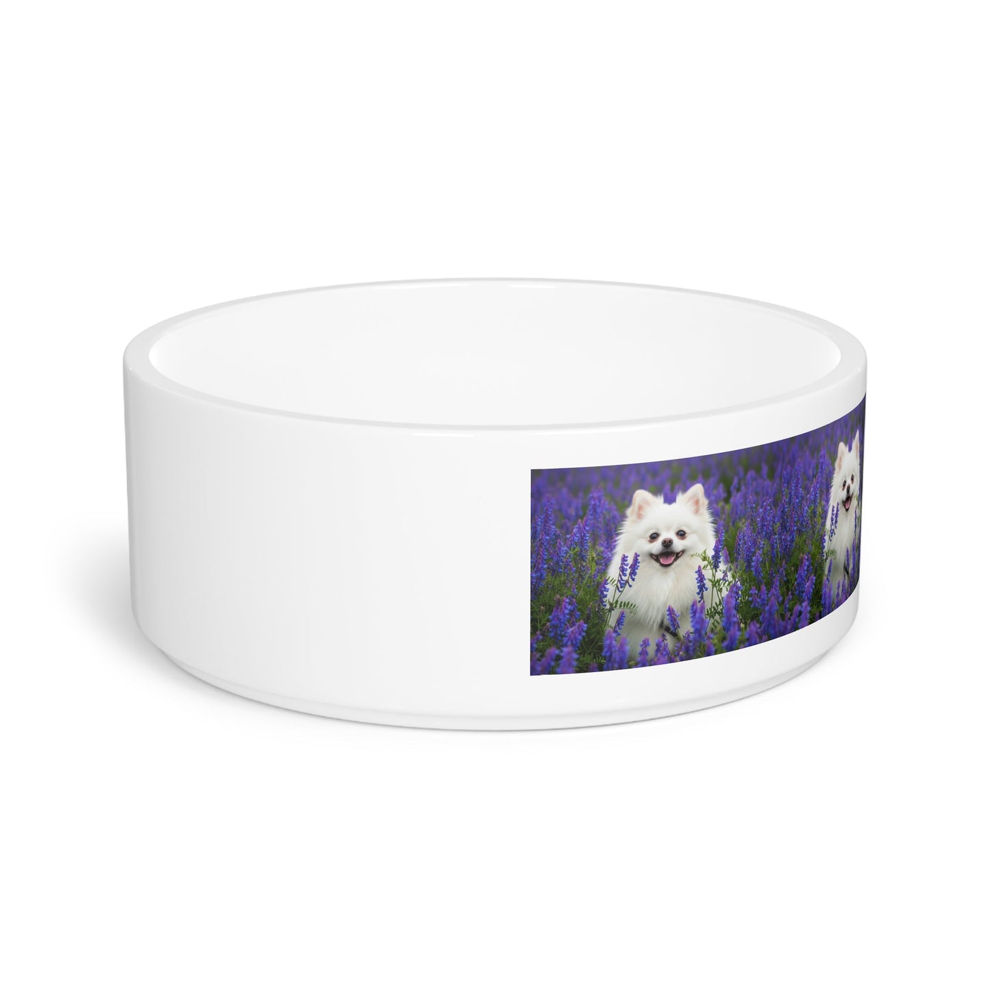 Ceramic Pet Bowl – 16 oz Dog Feeding Bowl