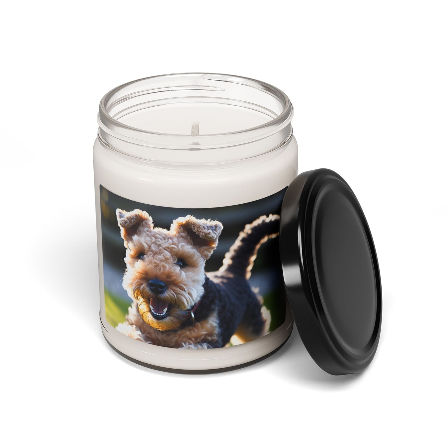 Soy Candle – Scented Jar Candle