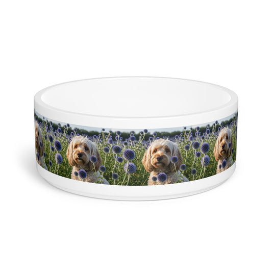 Ceramic Pet Bowl – 16 oz Dog Feeding Bowl