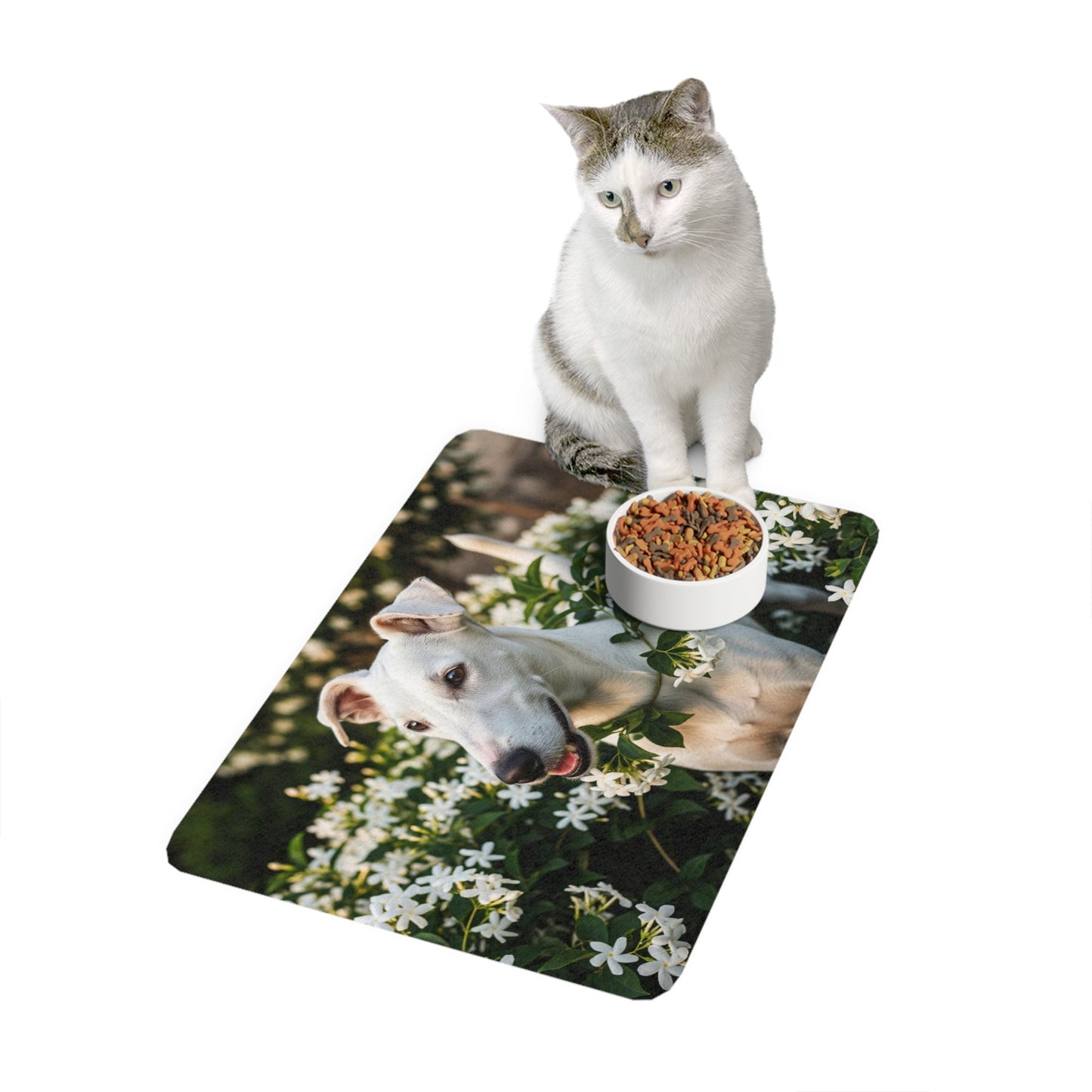 Tapis antidérapant pour animaux de compagnie – Tapis d'alimentation étanche pour chiens