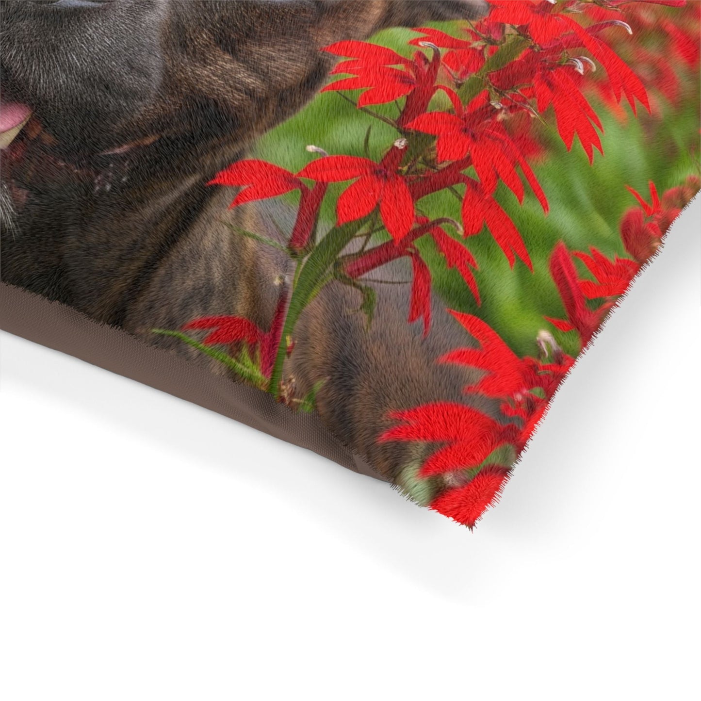 Hundebett – Plüsch-Hundebett, 3 Größenoptionen