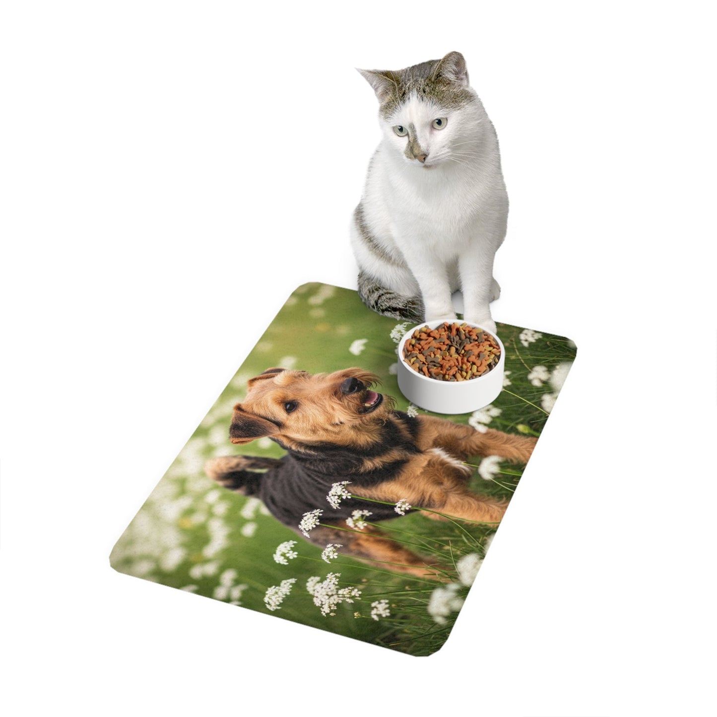 Tapis antidérapant pour animaux de compagnie – Tapis d'alimentation étanche pour chiens
