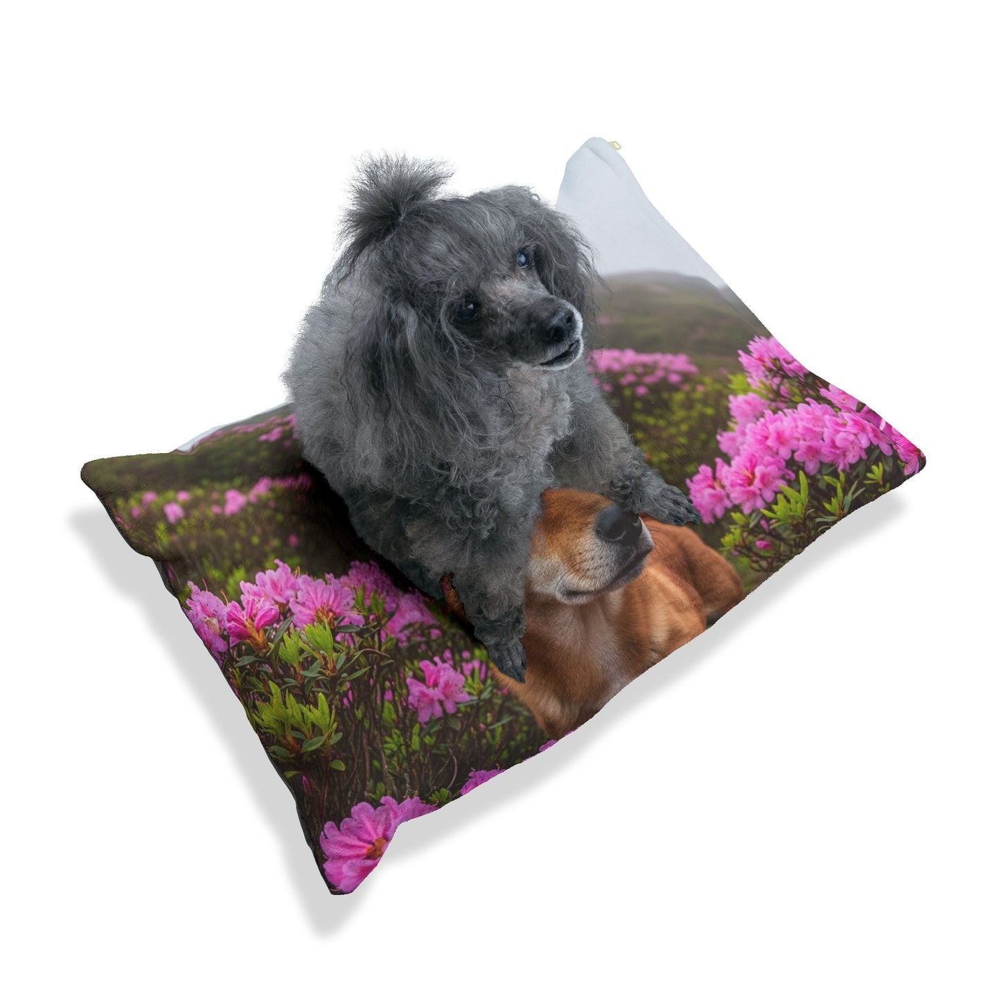 Lit pour animaux de compagnie – Lit douillet pour chien, 3 tailles disponibles