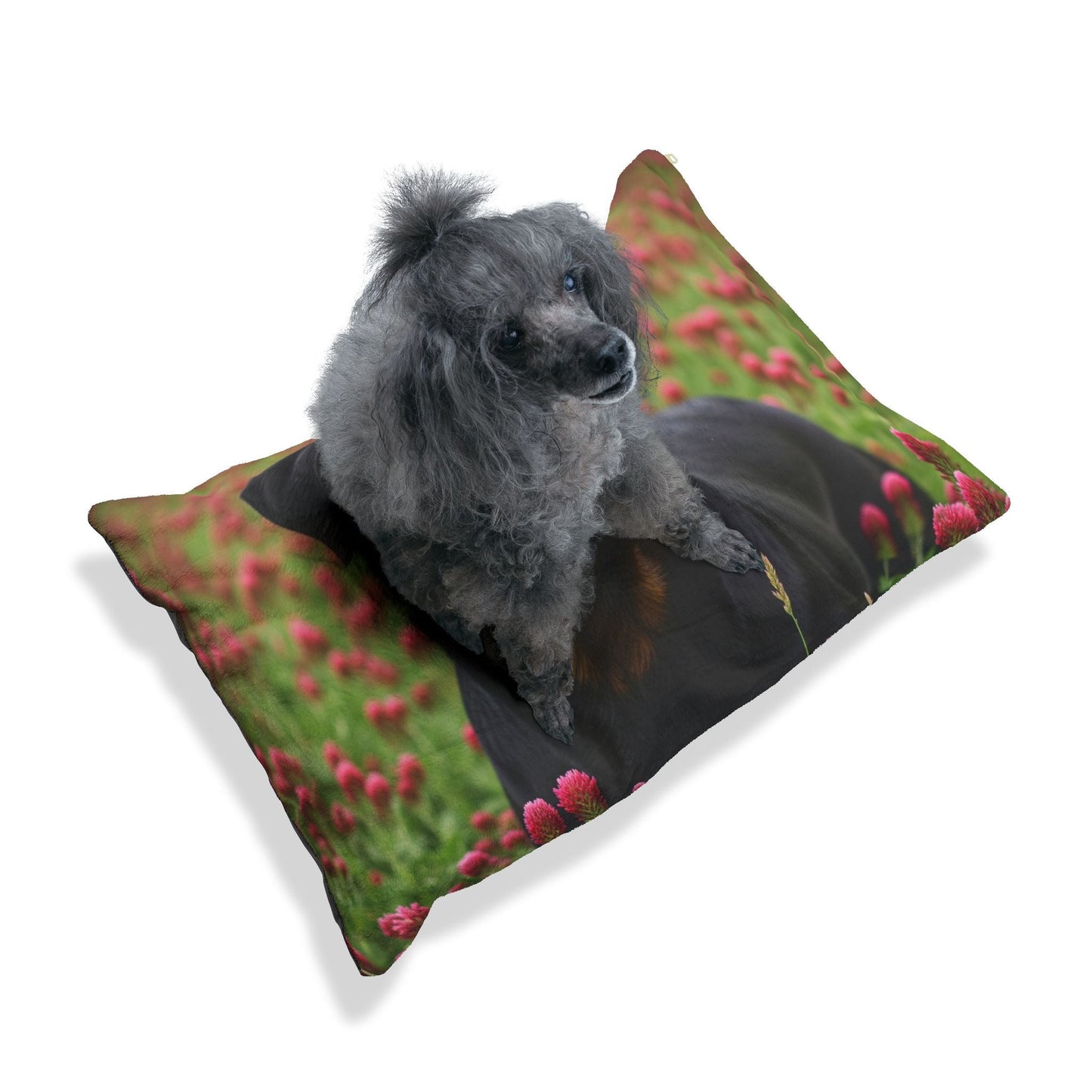 Lit pour animaux de compagnie – Lit douillet pour chien, 3 tailles disponibles