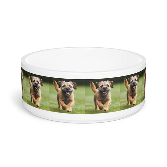 Ceramic Pet Bowl – 16 oz Dog Feeding Bowl
