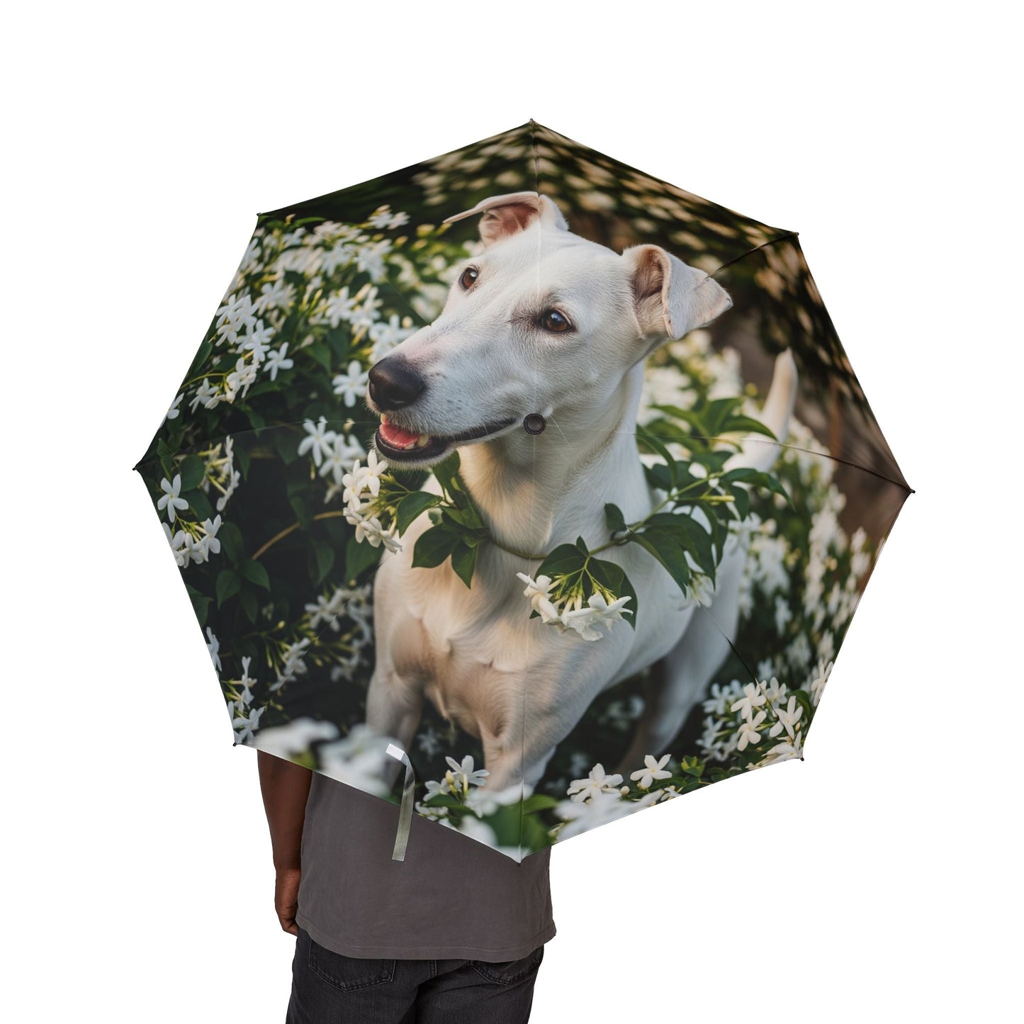 48" Halbautomatischer Regenschirm – Winddichter großer Reise-Regenschirm