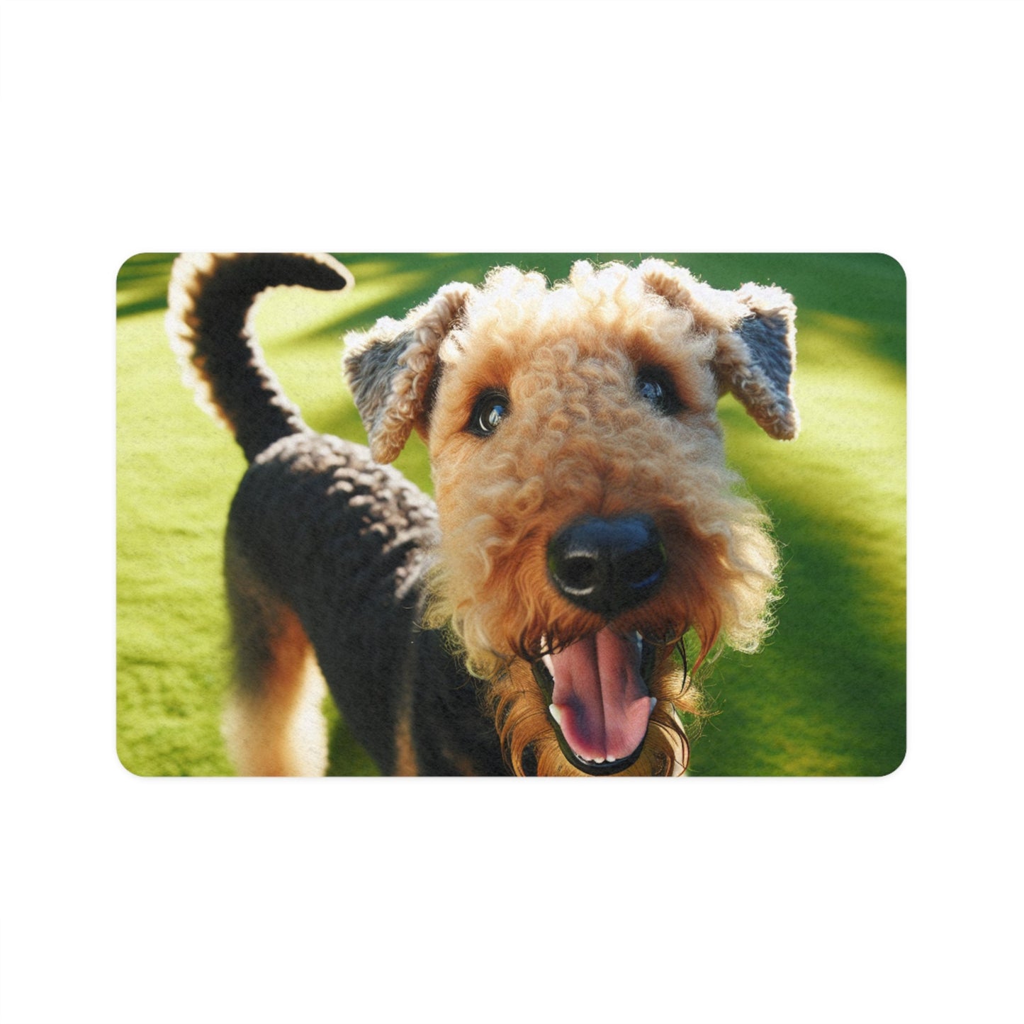 Non-Slip Pet Food Mat – Waterproof Feeding Mat for Dogs