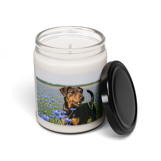 Soy Candle – Scented Jar Candle