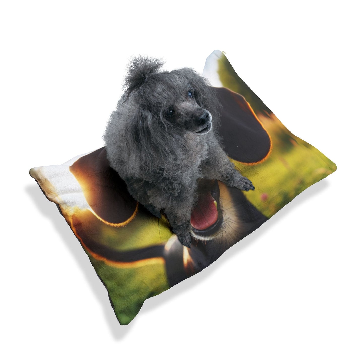 Pet Bed – Plush Dog Bed, 3 Size Options