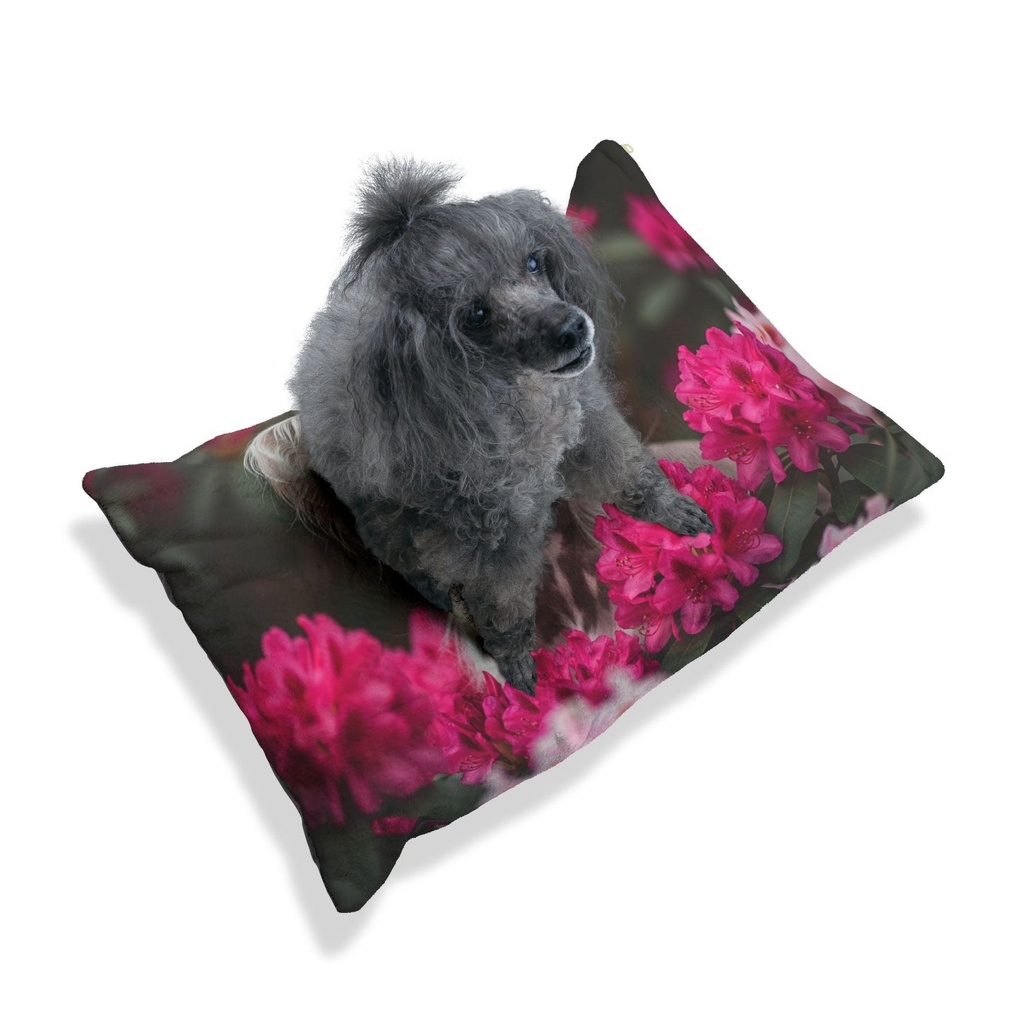 Pet Bed – Plush Dog Bed, 3 Size Options