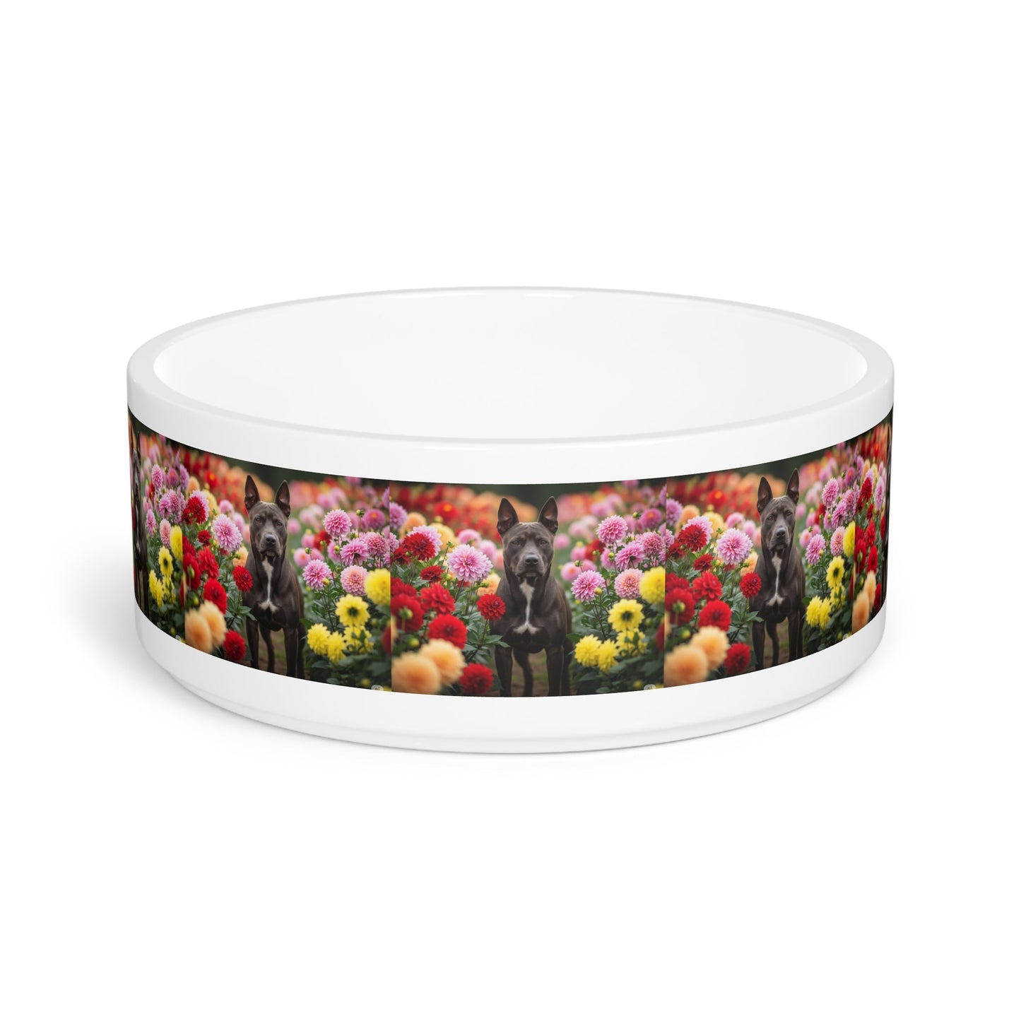 Ceramic Pet Bowl – 16 oz Dog Feeding Bowl