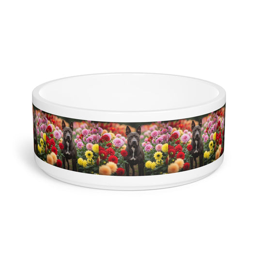 Ceramic Pet Bowl – 16 oz Dog Feeding Bowl