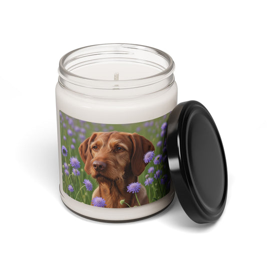 Soy Candle – Scented Jar Candle