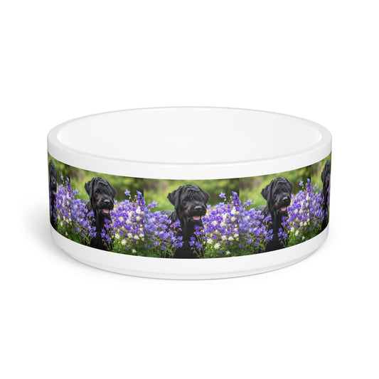 Ceramic Pet Bowl – 16 oz Dog Feeding Bowl